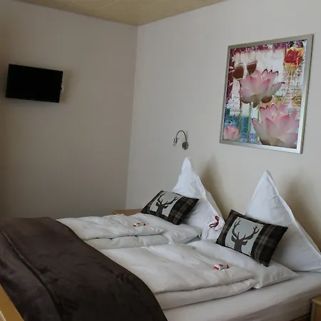 Mosel-pension Gaestehaus Christiane, 3*