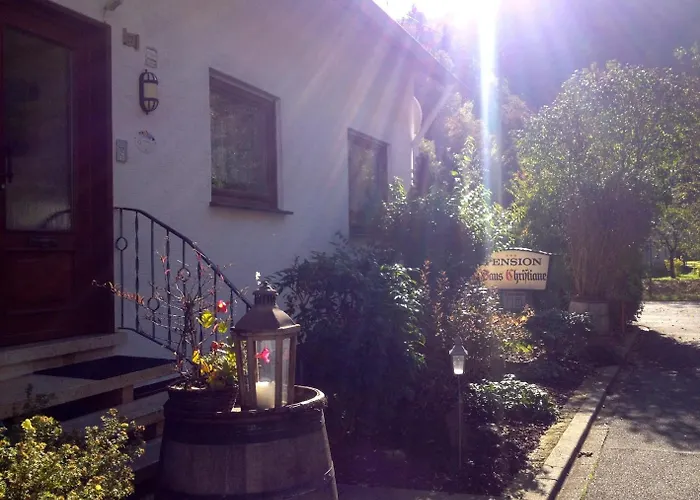 Mosel-pension Gaestehaus Christiane, Brodenbach