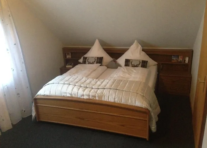 Mosel-pension Gaestehaus Christiane, Brodenbach